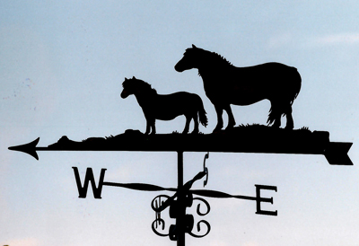 Ponies weather vane